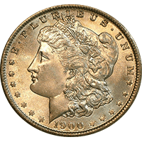 1900 Morgan Silver Dollar